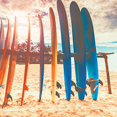 Rentals - Watercraft, Surfboards, Bikes